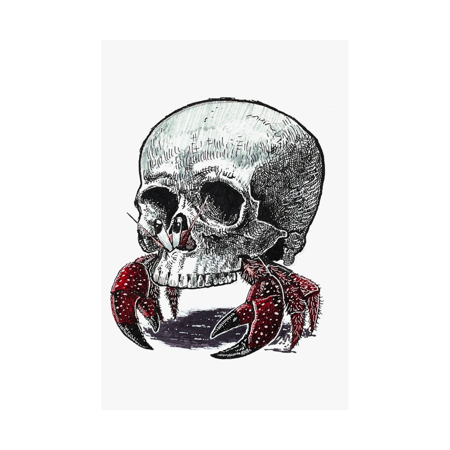 Brand new shell